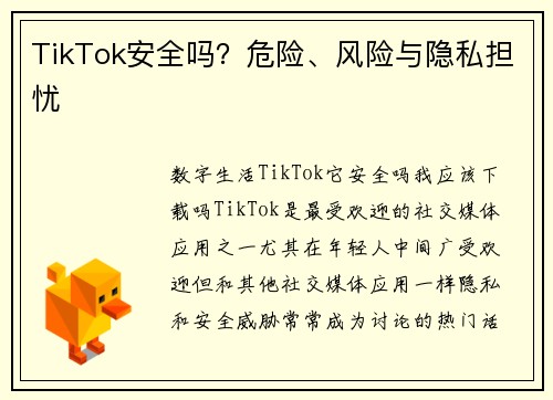 TikTok安全吗？危险、风险与隐私担忧